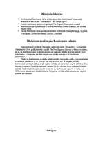 Referāts 'Rembrants', 11.