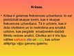 Prezentācija 'Krāsas', 3.