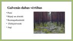 Prezentācija 'Latvijas nacionālie parki', 9.