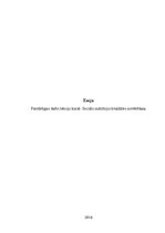 Eseja 'Sociālo institūciju kvalitātes novērtēšana', 1.