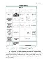 Eseja 'Sociālo institūciju kvalitātes novērtēšana', 11.