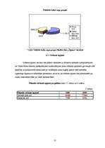 Referāts 'Meža apsaimniekošana Žīguru iecirknī', 27.