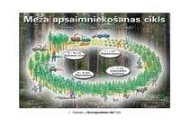 Referāts 'Meža apsaimniekošana Žīguru iecirknī', 39.