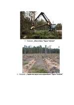 Referāts 'Meža apsaimniekošana Žīguru iecirknī', 40.