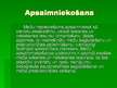 Referāts 'Meža apsaimniekošana Žīguru iecirknī', 48.