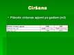Referāts 'Meža apsaimniekošana Žīguru iecirknī', 50.