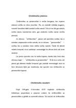 Referāts 'Cilvēktiesību institūts konstitucionālajās tiesībās', 3.