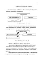 Prakses atskaite 'Prakses atskaite', 5.