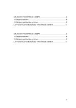 Referāts 'Investēšanas iespējas Latvijas valsts obligācijās', 3.