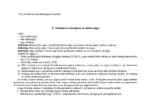 Konspekts 'Norēķini par darba algu', 3.