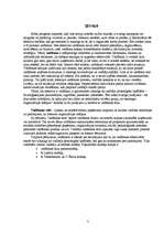 Referāts 'Vadības stili', 3.