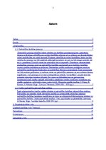 Referāts 'Pašvaldību ietekme uz uzņēmējdarbības vidi', 2.