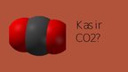 Prezentācija 'Oglekļa dioksīda veidošanās rūpniecībā un tā izraisītais piesārņojums', 2.