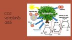 Prezentācija 'Oglekļa dioksīda veidošanās rūpniecībā un tā izraisītais piesārņojums', 4.
