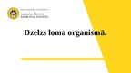Prezentācija 'Dzelzs loma organismā', 1.
