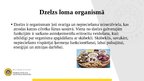 Prezentācija 'Dzelzs loma organismā', 2.