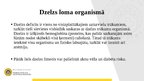 Prezentācija 'Dzelzs loma organismā', 3.