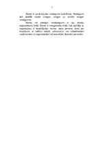 Referāts 'Bandītisms', 5.