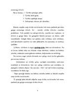 Eseja 'Ko mūsu prāts runā par cilvēka dzīves mērķi, dzīves jēgu', 8.