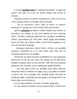 Eseja 'Ko mūsu prāts runā par cilvēka dzīves mērķi, dzīves jēgu', 10.