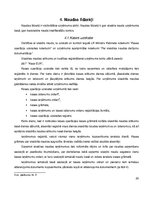 Prakses atskaite 'Prakses atskaite grāmatvedībā', 20.