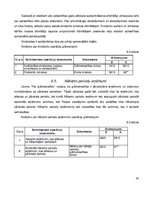 Prakses atskaite 'Prakses atskaite grāmatvedībā', 30.