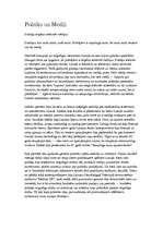 Eseja 'Politika un mediji', 1.