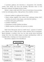 Referāts 'Datoru un datortīklu drošība', 20.