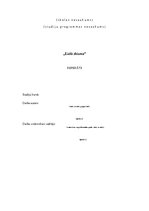 Referāts 'Lielā Shizma', 1.