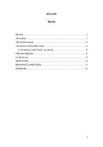 Referāts 'Lielā Shizma', 2.