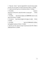 Referāts 'Lielā Shizma', 14.