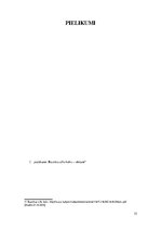 Referāts 'Lielā Shizma', 15.