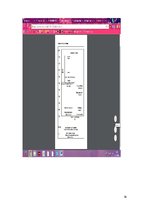 Referāts 'Lielā Shizma', 16.