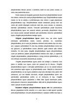 Referāts 'Pārapdrošināšana', 6.