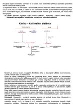 Konspekts 'Sirdsdarbības un asinsvadu tonusa regulācija, reģionālā asinsrite', 6.