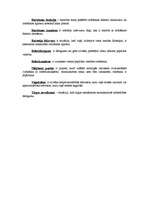 Konspekts 'Mikroekonomikas terminu skaidrojošā vārdnīca', 2.