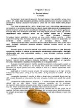 Konspekts 'Dārzeņu klasifikācija. Ēdienu receptes', 4.