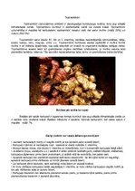 Konspekts 'Dārzeņu klasifikācija. Ēdienu receptes', 5.