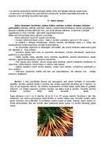 Konspekts 'Dārzeņu klasifikācija. Ēdienu receptes', 6.