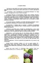 Konspekts 'Dārzeņu klasifikācija. Ēdienu receptes', 8.