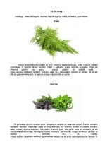 Konspekts 'Dārzeņu klasifikācija. Ēdienu receptes', 11.