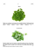 Konspekts 'Dārzeņu klasifikācija. Ēdienu receptes', 12.