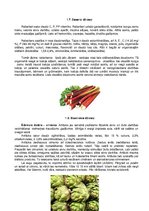 Konspekts 'Dārzeņu klasifikācija. Ēdienu receptes', 13.