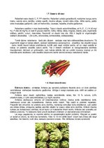 Konspekts 'Dārzeņu klasifikācija. Ēdienu receptes', 13.