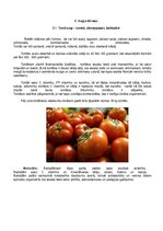 Konspekts 'Dārzeņu klasifikācija. Ēdienu receptes', 14.