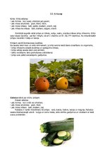 Konspekts 'Dārzeņu klasifikācija. Ēdienu receptes', 16.