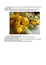 Konspekts 'Dārzeņu klasifikācija. Ēdienu receptes', 17.