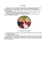 Konspekts 'Dārzeņu klasifikācija. Ēdienu receptes', 19.