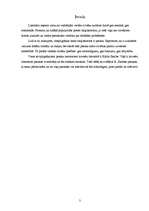 Referāts 'Kārļa Skalbes pasaku analīze', 3.