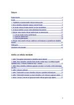 Referāts 'Mazās aviācijas bizness Baltijas valstīs ', 2.